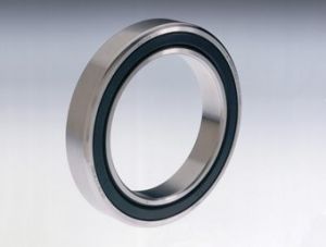 Radial Spherical Plain Bearings with Lip Seals.jpg